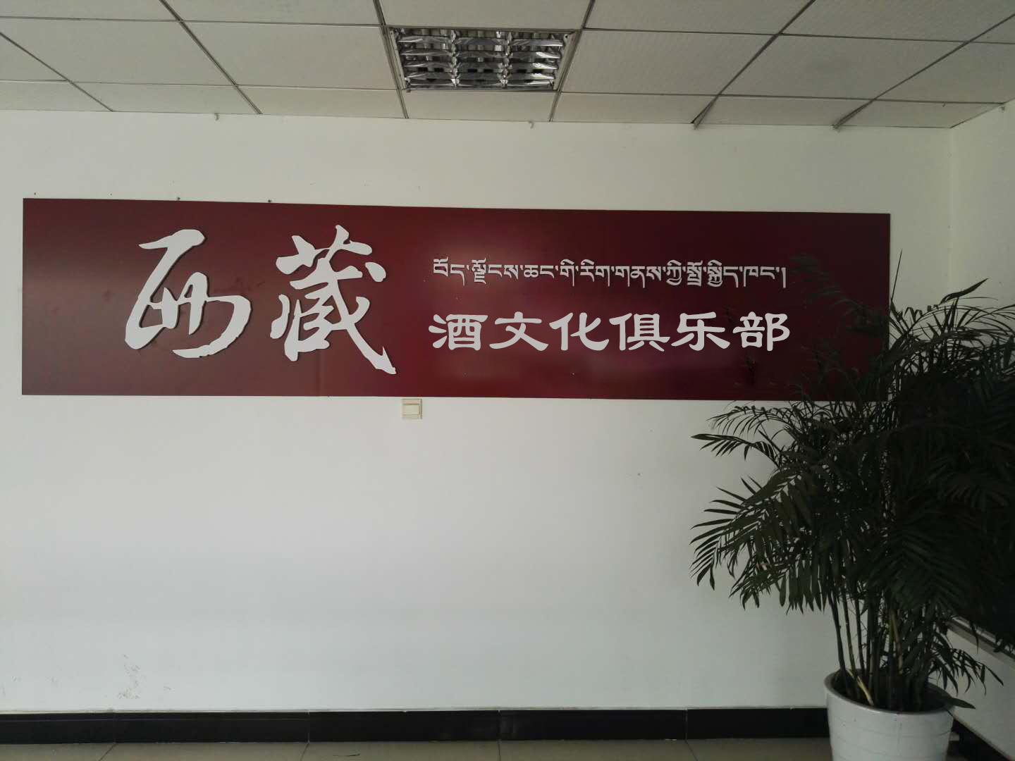 熱烈祝賀第一家藏佳純青稞酒俱樂(lè )部在長(cháng)沙開(kāi)業(yè)